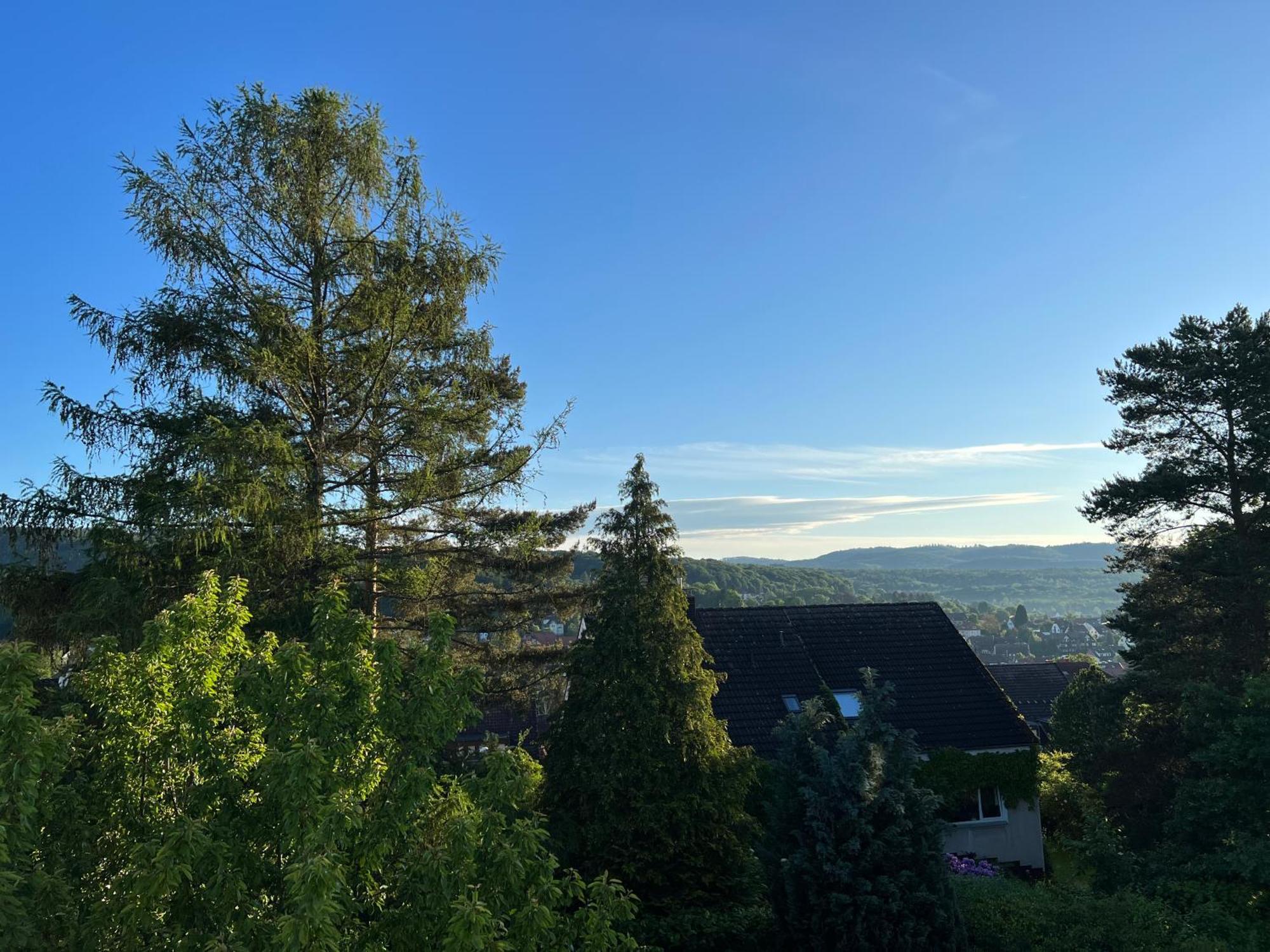 Ferienwohnung Nannerl Bad Sachsa Exteriör bild